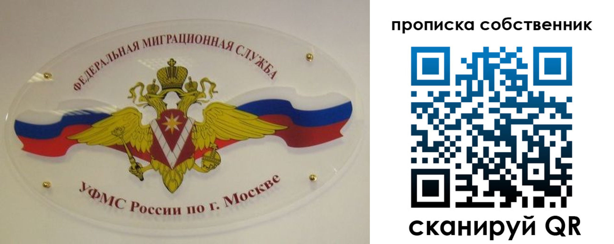 прописка 2025 в Елизово